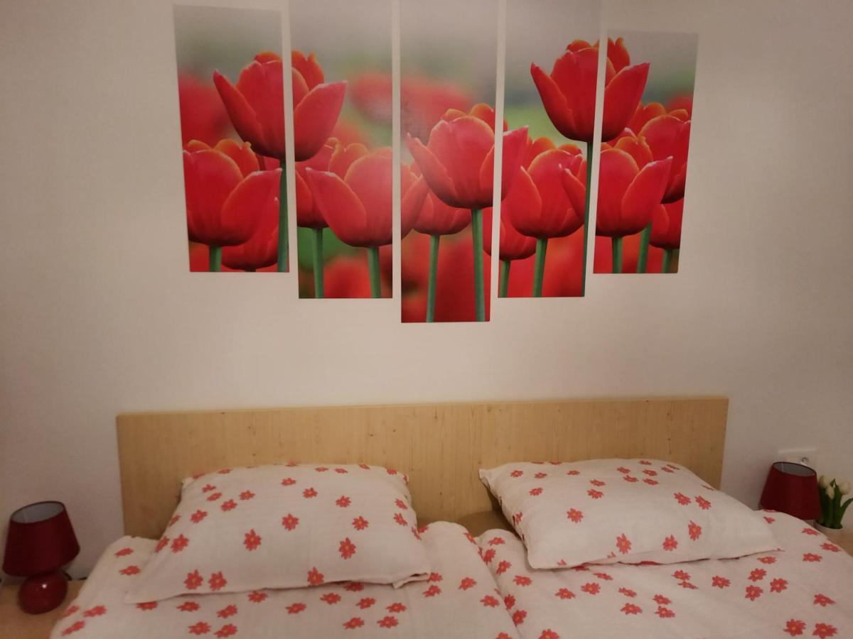 Apartma Rozle Mojstrana Exterior foto